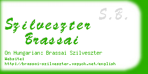 szilveszter brassai business card